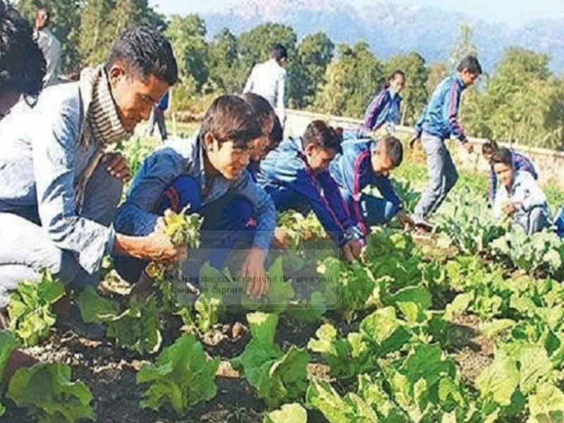 कृषि परियोजनामा जनशक्ति अभाव